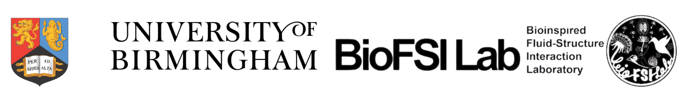 University of Birmingham BioFSI Lab